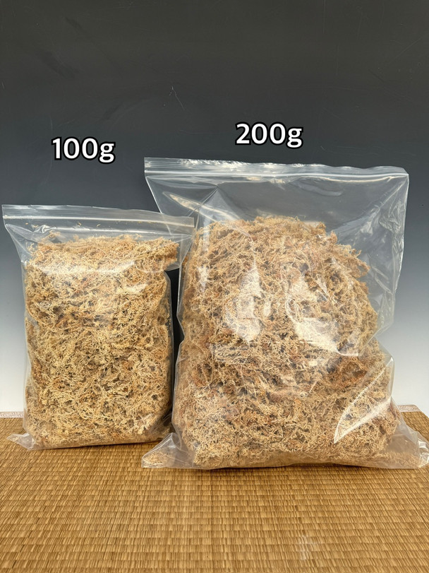 cfeb35c0-1668-4024-9769-5e63c8ae9fc2