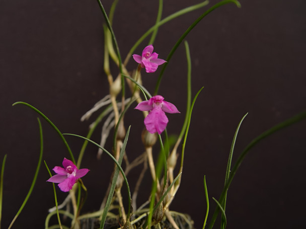 651f8326-12fb-4a23-ba2c-b9dd76abb017