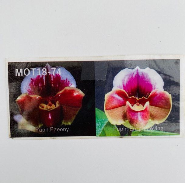 769eee2e-c447-4a15-a7bf-39d43bc99a5a