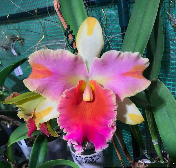 dcd3d34b-6579-4b63-8726-5ff8f15292a8