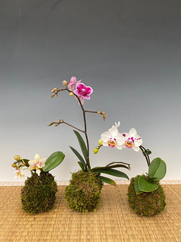 48b8b39b-734f-47cd-845d-465c44f5797e