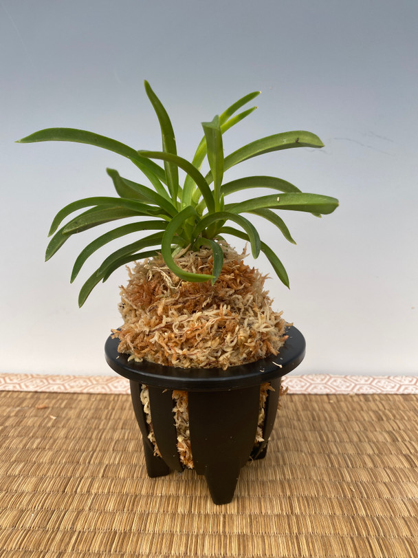 0560b27e-06df-48a4-9999-48b8ff8d5b11