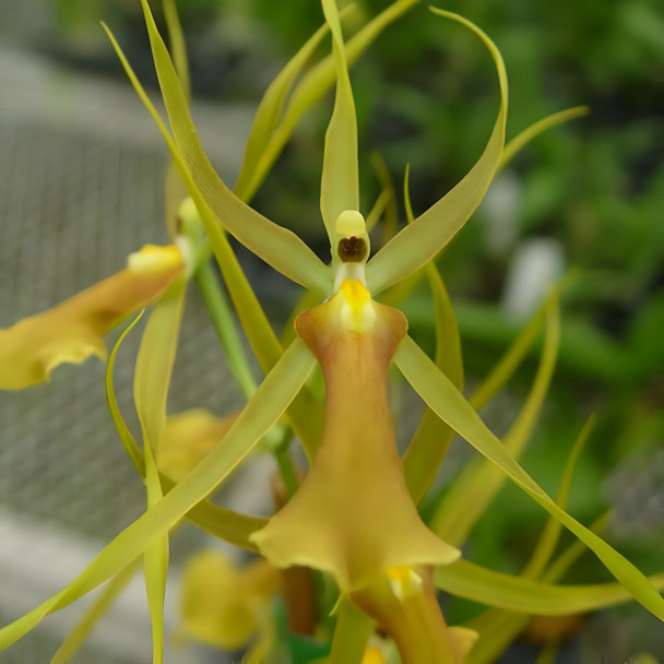 2797d391-fed4-4098-9215-42bbe3c3bef3