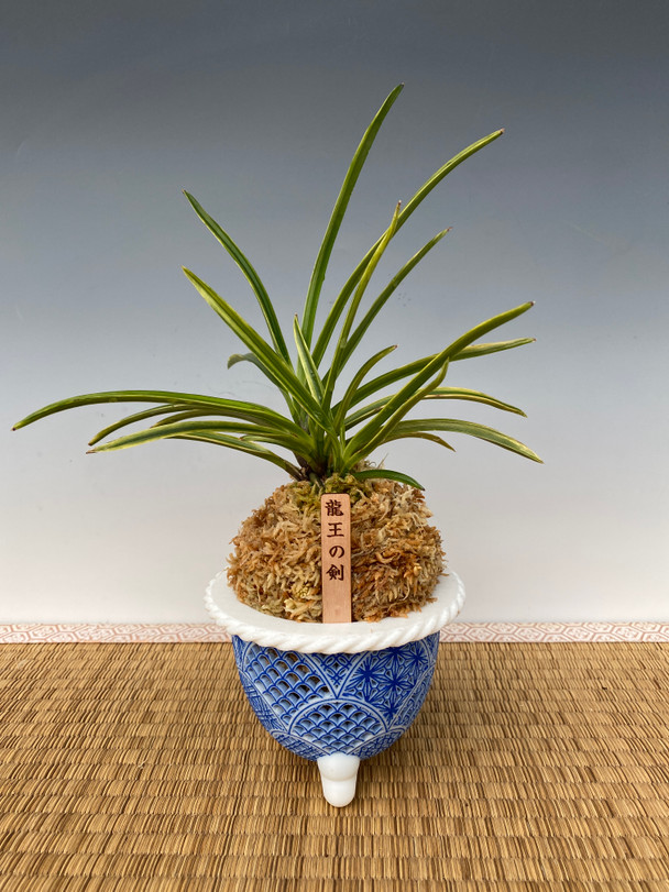 e97562e0-1ec7-4f55-b6fe-dc71ac43c19e