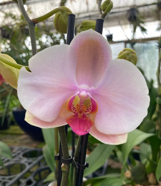 3907cbb8-54c3-4bb3-8a1f-2326dcb8254f