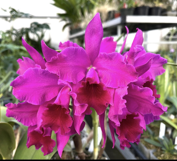 f59bf03d-c9e0-46d4-a022-c2e75e07a0ab