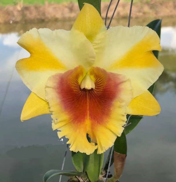 fc4a691a-94aa-4115-99b4-8a4db708e880