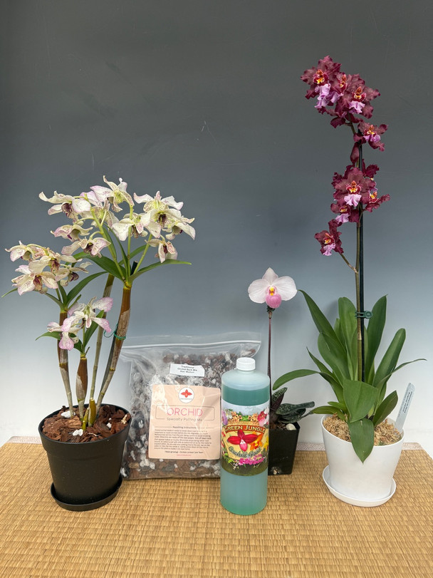 28b0cc1d-d250-4e69-a319-bd35ddac6442