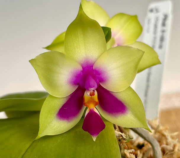 e34ab278-2947-4145-938e-26ed45033c76