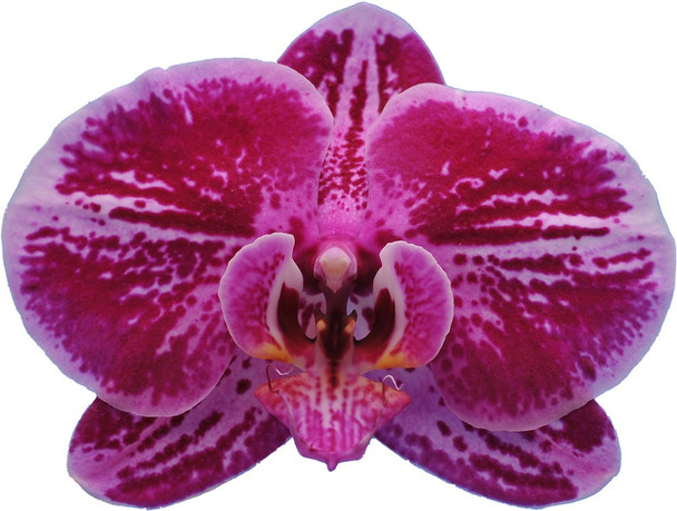 d60cbeda-763f-46e7-8d7f-45c8a0623cf1