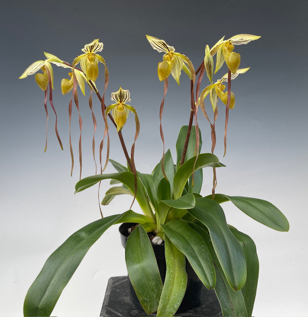 082f23e2-9001-4eca-98f4-e77a78277bb8