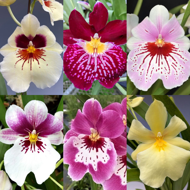 666fcf64-99bb-4565-9db4-7a4113c8093b