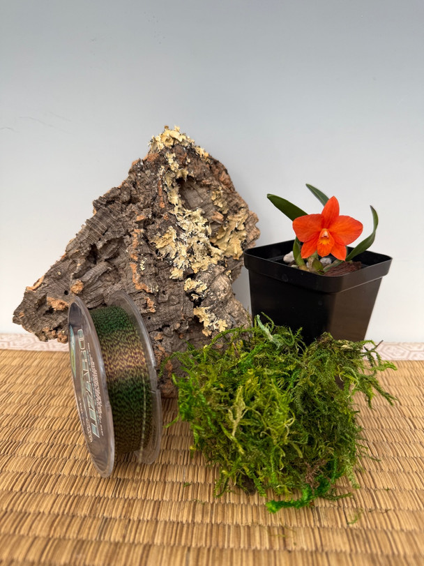 9376241c-7a95-47e2-8bbe-6990e6f6aafb