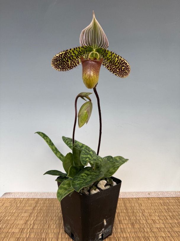 c4c143c2-d19e-4a1e-b258-7a6ee16ebff2