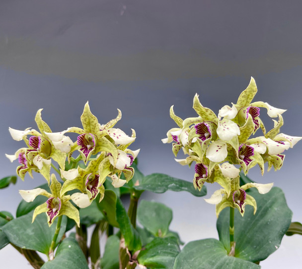 fb72fd9e-bbda-44af-a7ca-2fe80ab68277