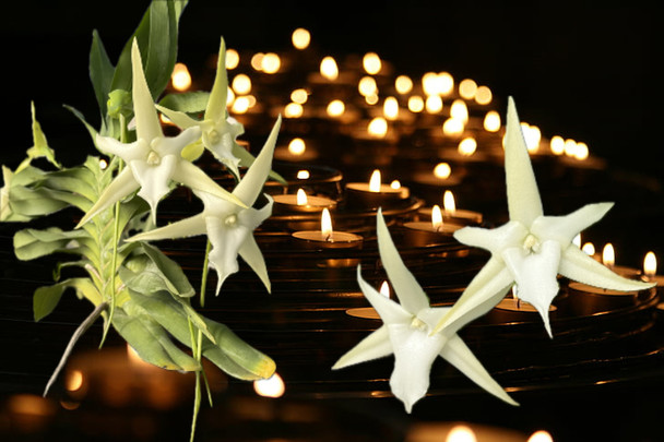 cd6a5f3d-8bee-4e9e-942b-eb3431d3072d