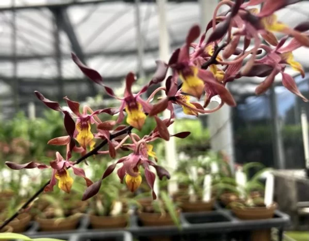 ec0e06d4-556b-4b2c-a895-c42f49c6a6b2