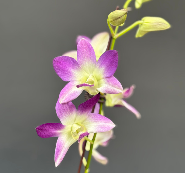 4c0576ac-f441-4aca-bedd-7fa5ec830aa1