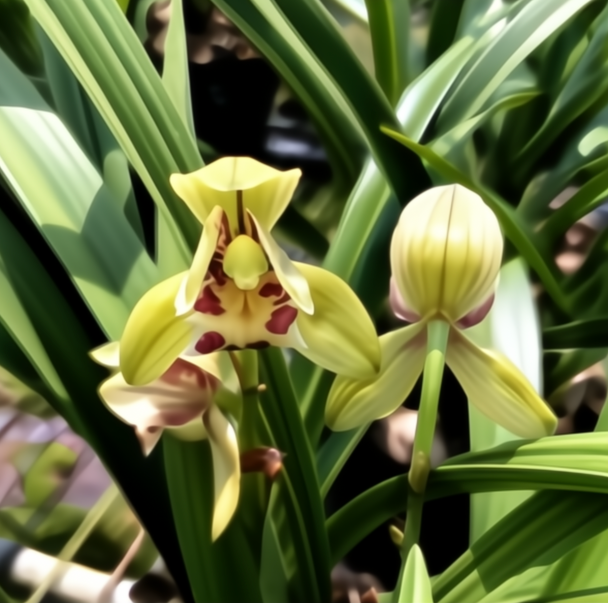 d747e218-d8c2-4de9-a2ac-152ba7dccca8