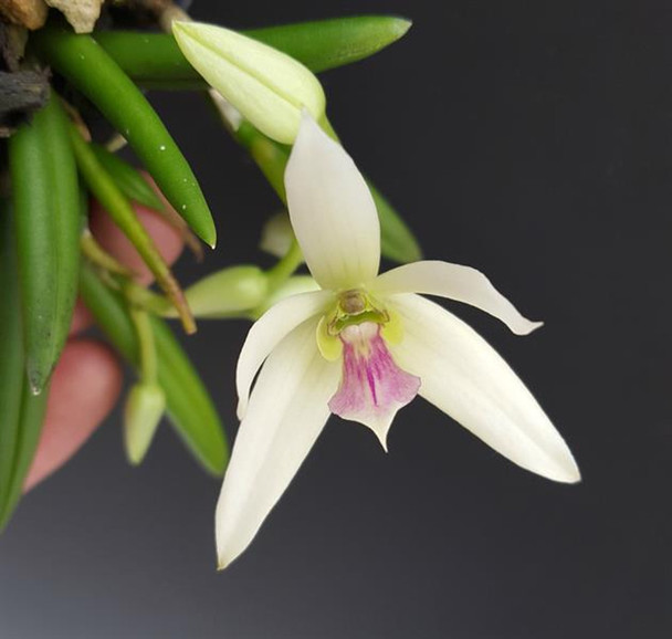 9babe6de-74c6-45bc-b11a-7f6502a07a48