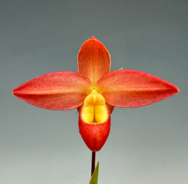 57fb586c-38fe-4bf5-9205-77631109d9a3