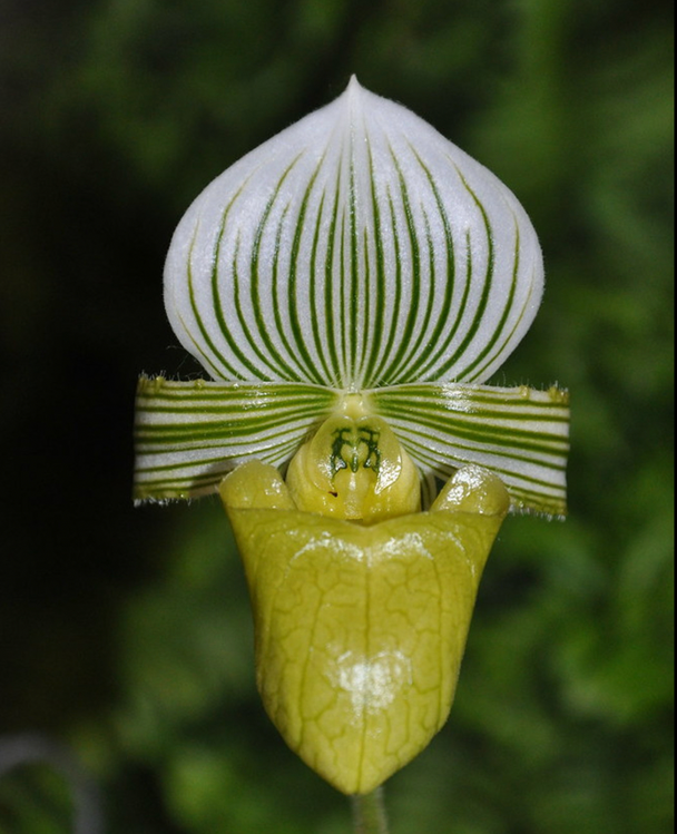 a4601e80-cfcf-4bc6-8a6e-3a5b42b4791e