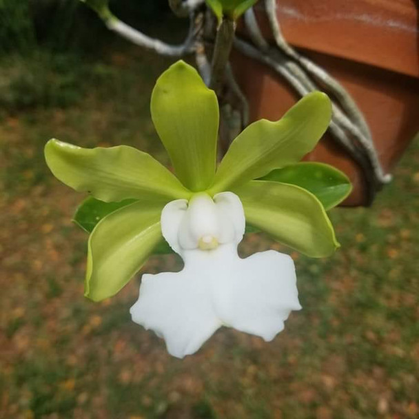 13961d4b-1fe0-4939-a74d-1290c738fad9