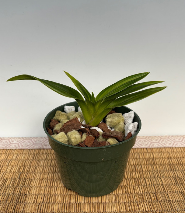 5bc9cf82-4047-49f2-ab7c-b9a91d99c6c2