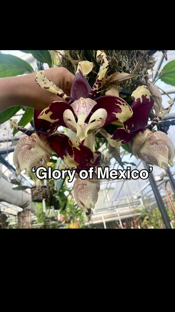 049d2edc-2036-4769-b8c0-e8add6731d9d