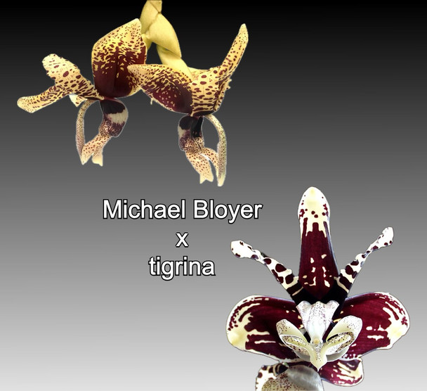 56a70a48-f5d6-4674-a1e3-91448d623973