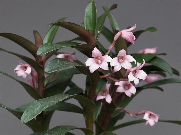 f0ad1a7d-acff-4e27-85a4-a0263e73dc00