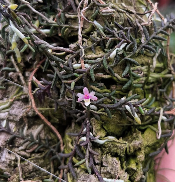 fc57bbdf-3101-4841-ac32-4dfc01b57d1a