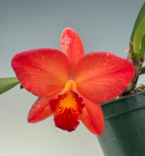 0e2315e7-959a-4dc1-a0c8-0493658a793a