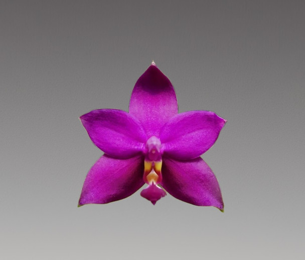 686911e0-848f-42fd-a0f9-d9a930b90bb7