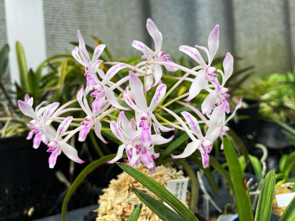 a1d2e4bd-1fe7-4ddc-8d66-18398f21a1e8