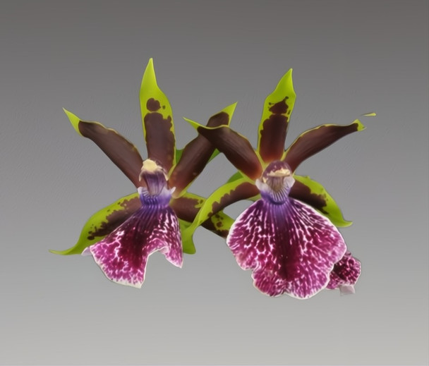 2abf77f7-0281-4cdc-889e-b4f74dd50b8d