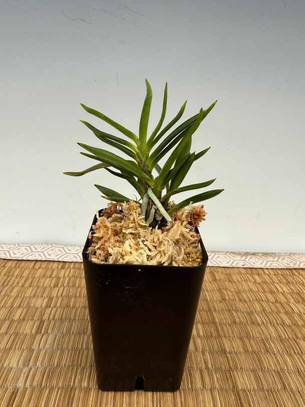 5f5fb1e5-ce47-41df-9a27-3964d47c521b