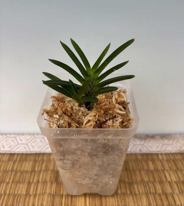 aa12dfeb-845c-46e4-a484-d5f229477b44