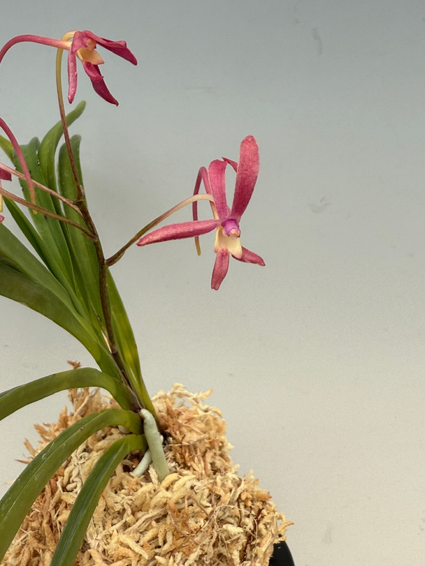 5cb75859-f837-4edb-bf71-18a0eb1c3df6