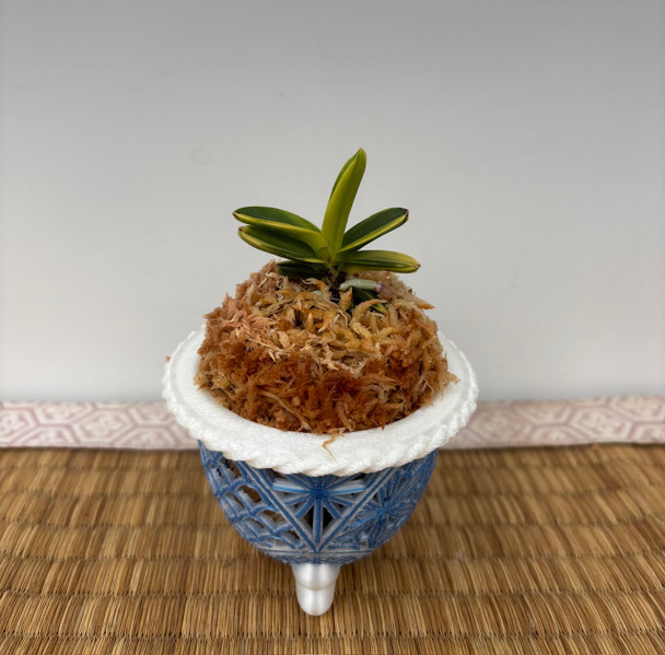 fbaa6b99-fa5c-44b2-89ce-8f033f61c445