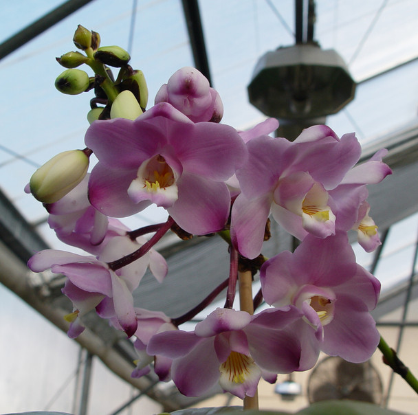 b949b46b-0b84-497b-ad37-3cf647bb5e2f