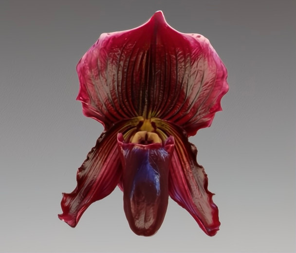 38726092-fa76-4102-94b7-66abc1148409