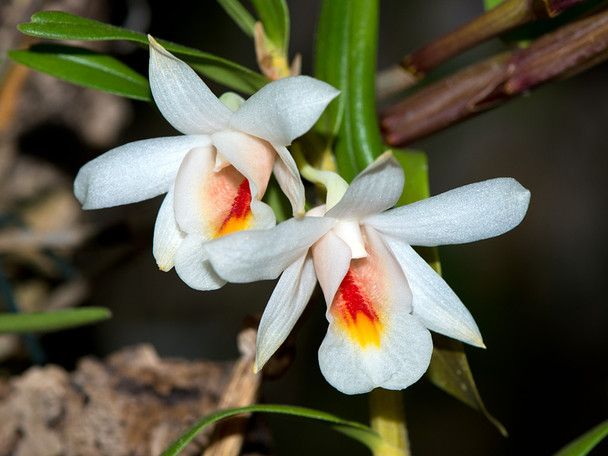 36771e39-6ab5-4545-a41b-c1d618dceeb2