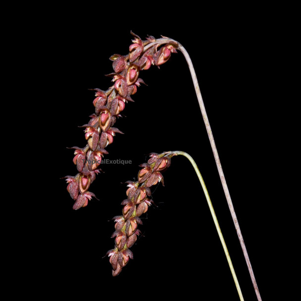 eee22b3c-8011-49e6-a7b7-d0cc9f204cd0