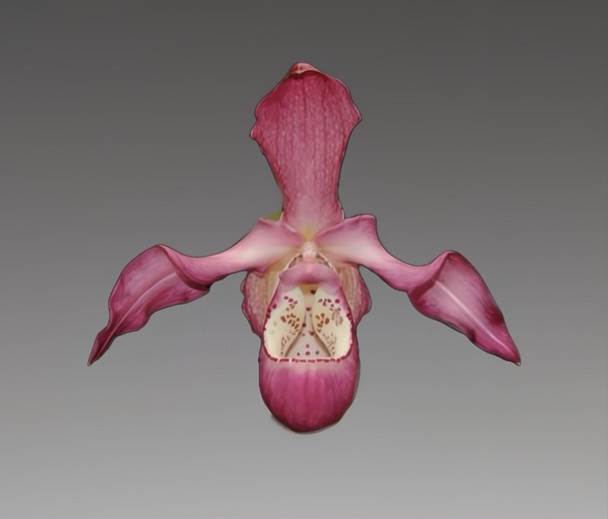 4edfc7f6-1d92-4ed3-bf59-69ef274e82b0