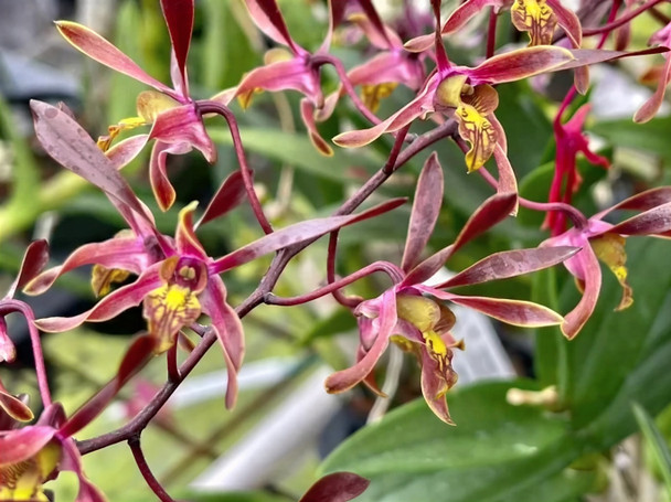 2cfb4d96-f4a0-4cfe-ab3c-9b677637529b