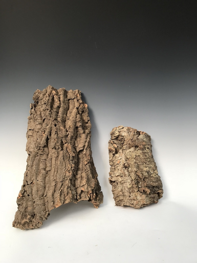 Cork Bark Slabs (For Mounting Orchids)