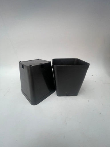 3.25" Square Plastic Rose Pots