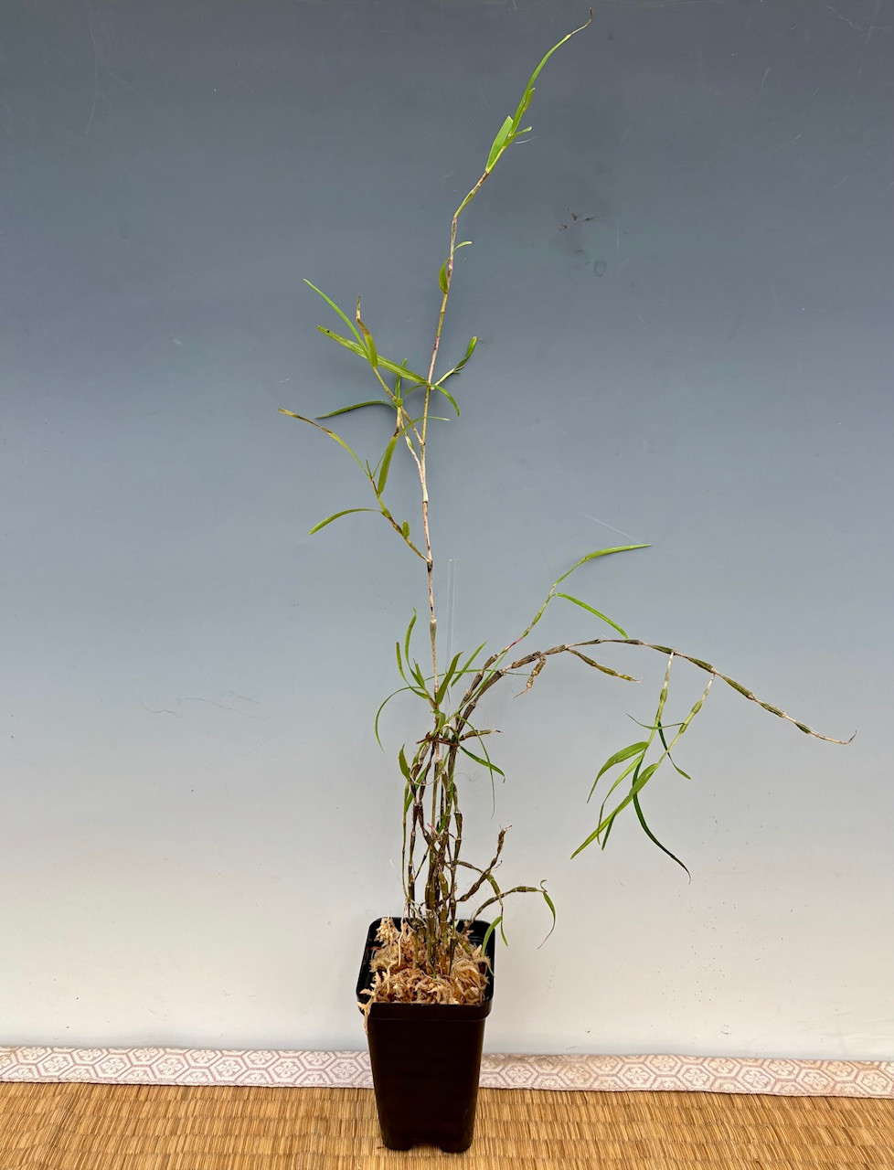 510e239d-9f8b-4f81-a3ea-f5e96999c8c9