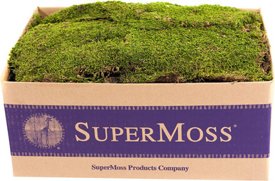 Preserved Sheet Moss (for decor, Kokedama etc)